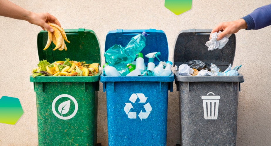 Cuidar el planeta: 6 acciones sostenibles que distinguen a UIN