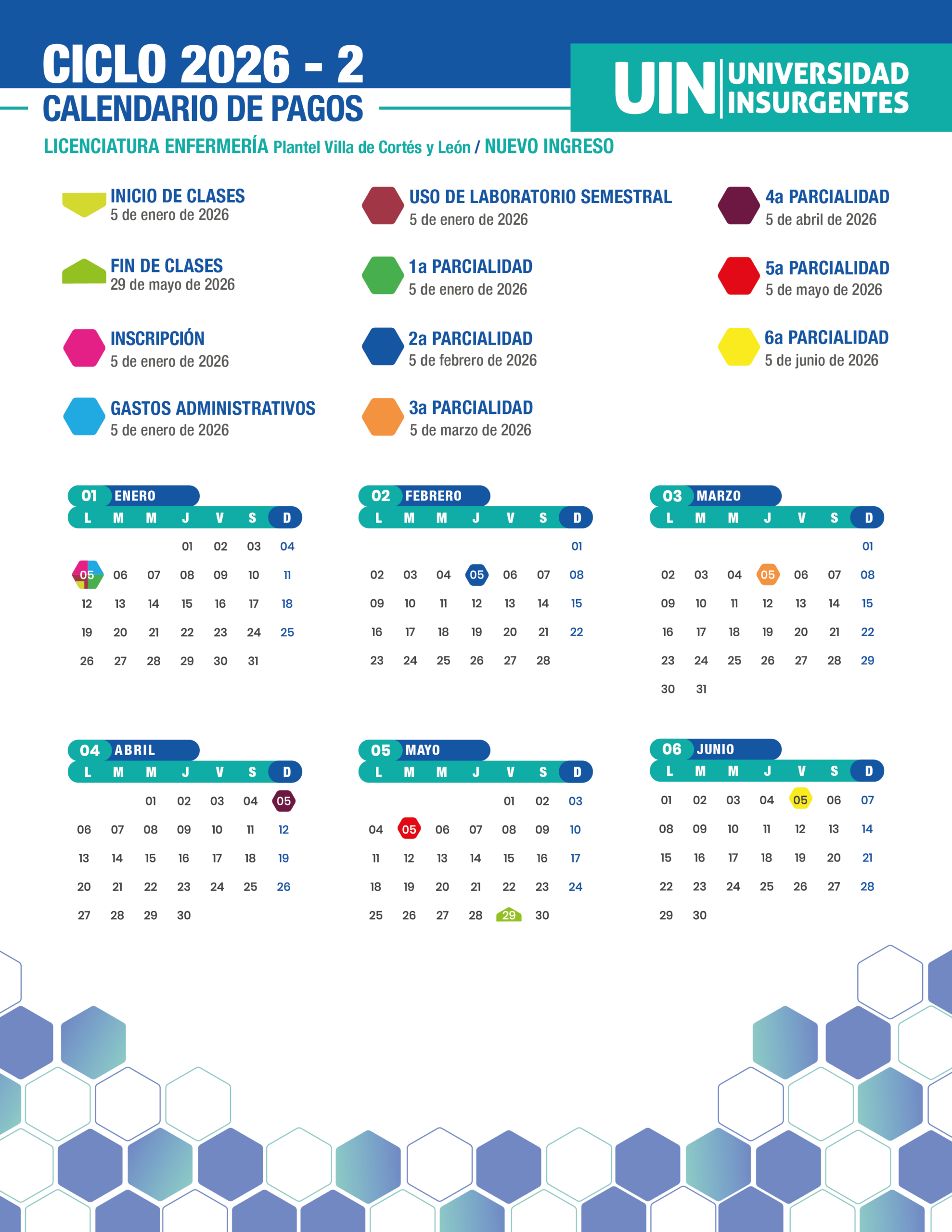 Lic. Enfermería VC y León - Ingreso