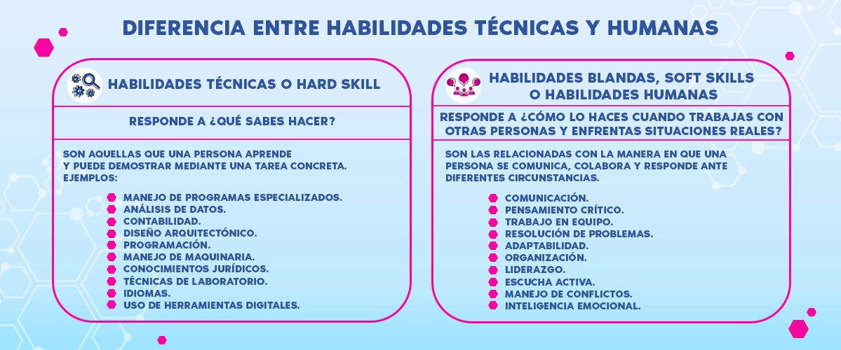trabajo habilidades tecnicas y humanas